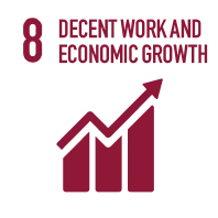 SDG 8